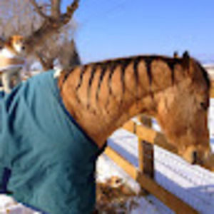 Meet your Posher, Sue